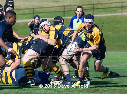 Thumbnail 3 in Xaverian Brothers @ Needham photogallery.