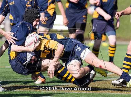 Thumbnail 3 in Xaverian Brothers @ Needham photogallery.