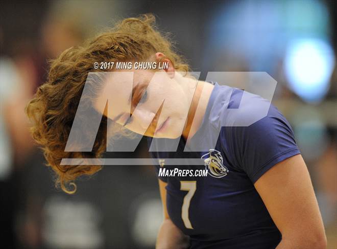 null - Photo 01