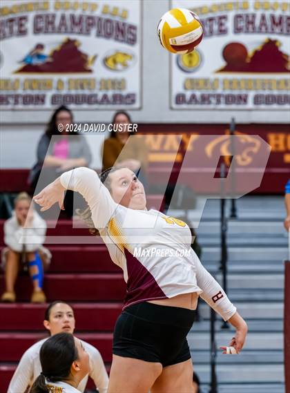 Thumbnail 3 in Edison @ Oakton photogallery.