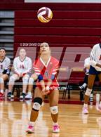 Photo from the gallery "Edison @ Oakton"