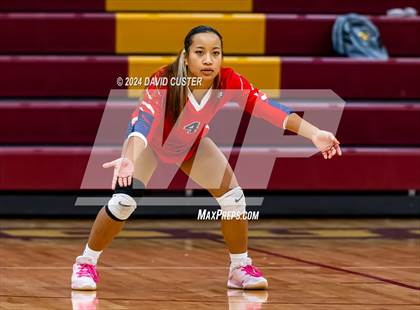 Thumbnail 2 in Edison @ Oakton photogallery.