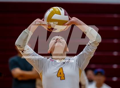 Thumbnail 3 in Edison @ Oakton photogallery.