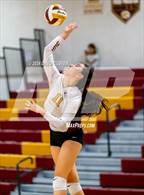 Photo from the gallery "Edison @ Oakton"