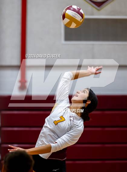 Thumbnail 3 in Edison @ Oakton photogallery.