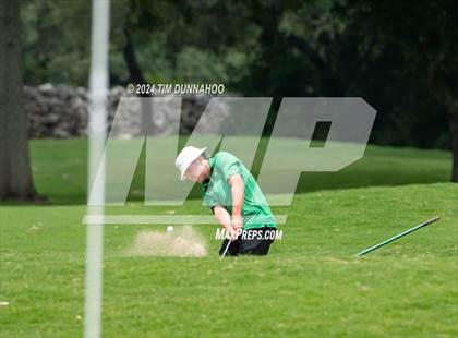 Thumbnail 3 in UIL 3A Boys Golf Finals photogallery.
