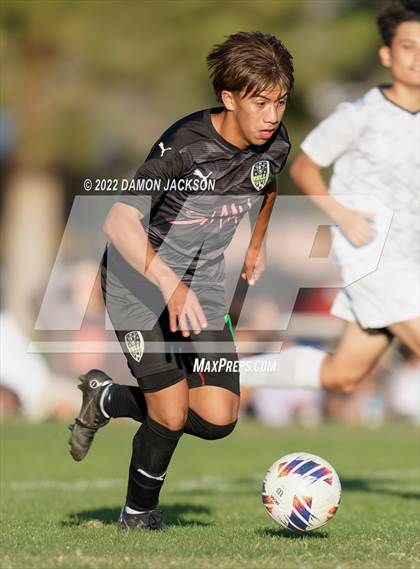 Thumbnail 1 in Virgin Valley vs Sports Leadership & Management (NIAA 3A Southern Quarterfinal) photogallery.