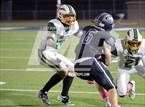 Photo from the gallery "Rio Americano @ Vista del Lago"