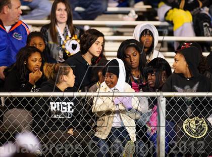Thumbnail 1 in Haltom @ Fossil Ridge photogallery.