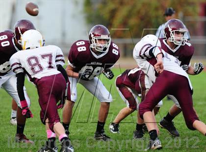 Thumbnail 1 in Sheehan @ North Haven photogallery.