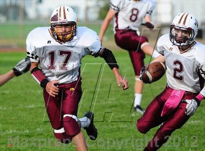 Thumbnail 1 in Sheehan @ North Haven photogallery.