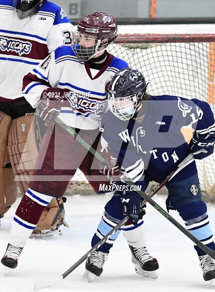 Thumbnail 3 in Wilton @ BBD photogallery.