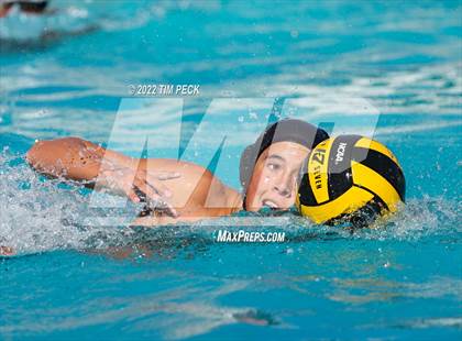 Thumbnail 3 in Foothill @ Villa Park photogallery.