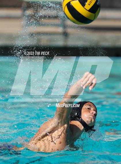 Thumbnail 2 in Foothill @ Villa Park photogallery.