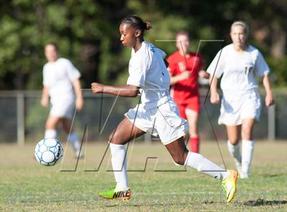 Thumbnail 1 in Vineland @ Absegami photogallery.