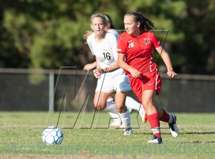 Thumbnail 2 in Vineland @ Absegami photogallery.