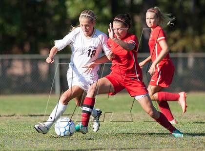 Thumbnail 1 in Vineland @ Absegami photogallery.