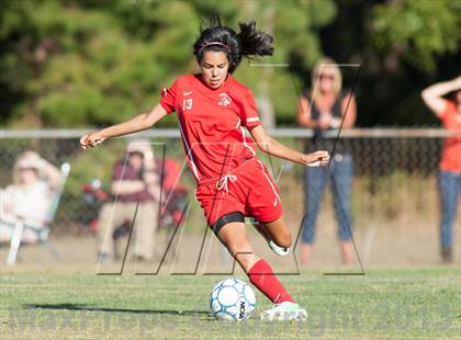 Thumbnail 1 in Vineland @ Absegami photogallery.