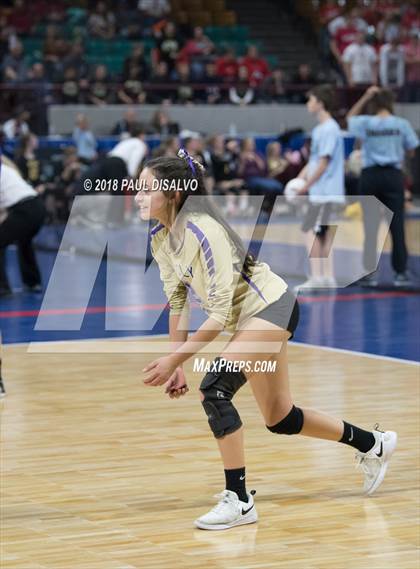 Thumbnail 1 in Lewis-Palmer vs. Holy Family (CHSAA 4A Semi-Final) photogallery.