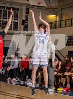 Photo from the gallery "Warde @ Wilton"