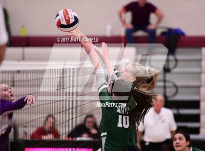 Thumbnail 3 in Douglas County vs. Niwot (Mustang Classic Tournament) photogallery.