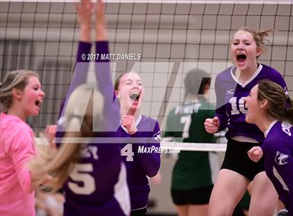 Thumbnail 2 in Douglas County vs. Niwot (Mustang Classic Tournament) photogallery.