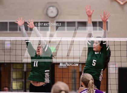 Thumbnail 1 in Douglas County vs. Niwot (Mustang Classic Tournament) photogallery.