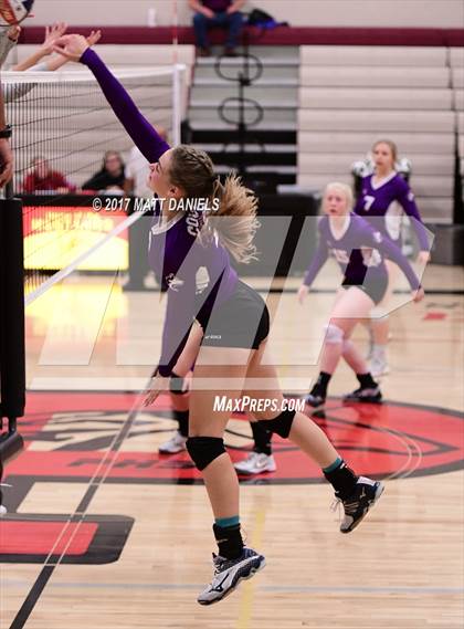 Thumbnail 3 in Douglas County vs. Niwot (Mustang Classic Tournament) photogallery.