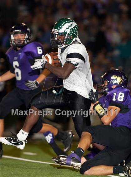 Thumbnail 1 in McNair @ Tokay photogallery.