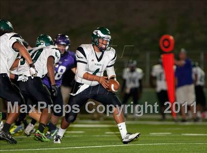 Thumbnail 2 in McNair @ Tokay photogallery.