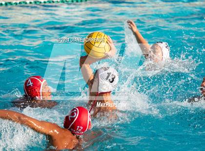 Thumbnail 2 in Segerstrom @ Santa Ana photogallery.