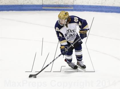 Thumbnail 3 in Notre Dame-Fairfield vs. Darien (CIAC Division I Semifinal) photogallery.