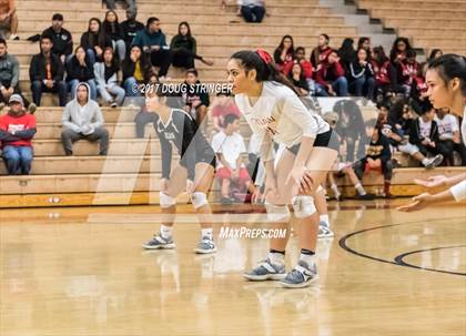 Thumbnail 1 in Sacred Heart Cathedral Preparatory @ James Logan (CIF NorCal Regional D1 Final) photogallery.