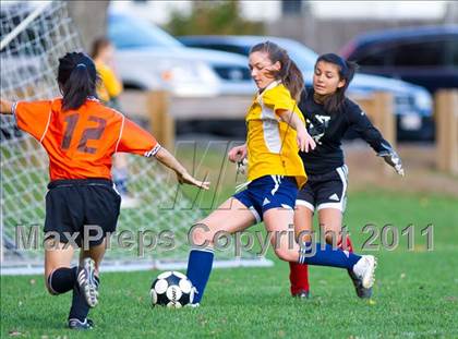 Thumbnail 1 in Newton North @ Needham photogallery.