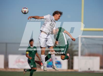 Thumbnail 1 in Hug vs. Palo Verde (NIAA 5A Semifinal) photogallery.
