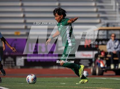 Thumbnail 2 in Hug vs. Palo Verde (NIAA 5A Semifinal) photogallery.