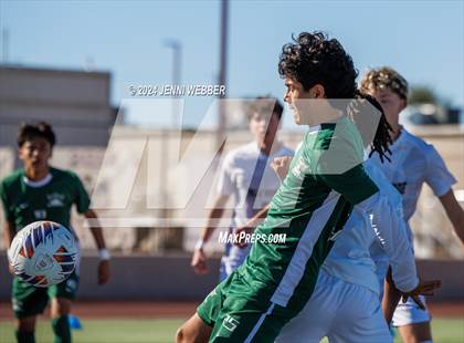Thumbnail 3 in Hug vs. Palo Verde (NIAA 5A Semifinal) photogallery.