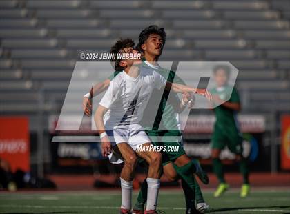 Thumbnail 1 in Hug vs. Palo Verde (NIAA 5A Semifinal) photogallery.