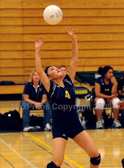 Thumbnail 2 in Monterey Trail @ Inderkum photogallery.
