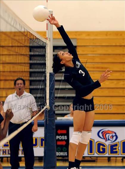Thumbnail 2 in Monterey Trail @ Inderkum photogallery.