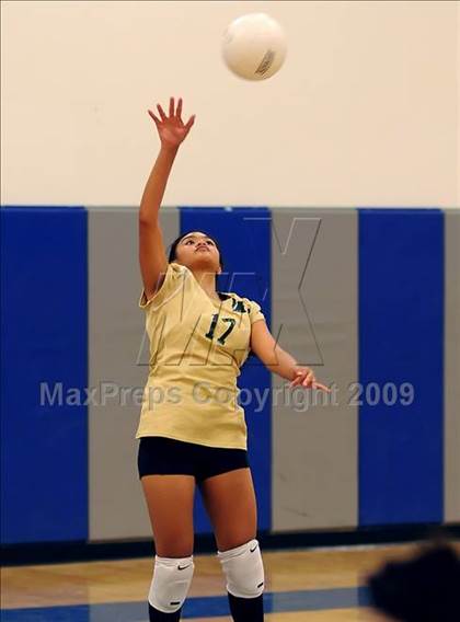 Thumbnail 1 in Monterey Trail @ Inderkum photogallery.