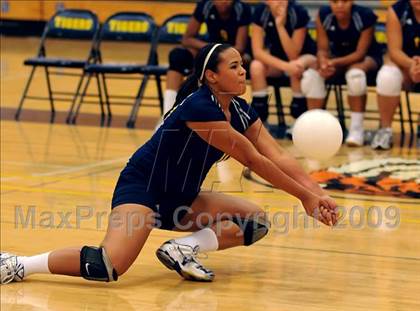 Thumbnail 3 in Monterey Trail @ Inderkum photogallery.