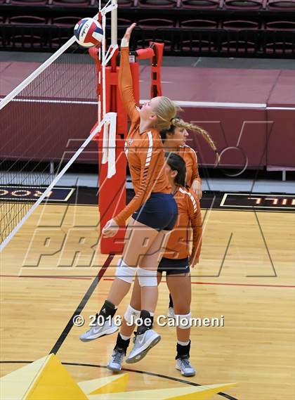 Thumbnail 2 in Madison vs Judson (Littleton Gym) photogallery.