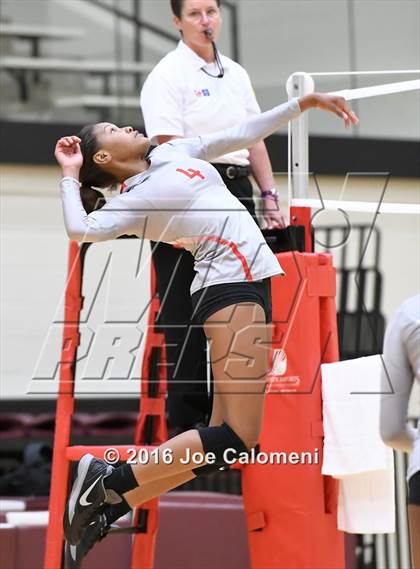 Thumbnail 1 in Madison vs Judson (Littleton Gym) photogallery.