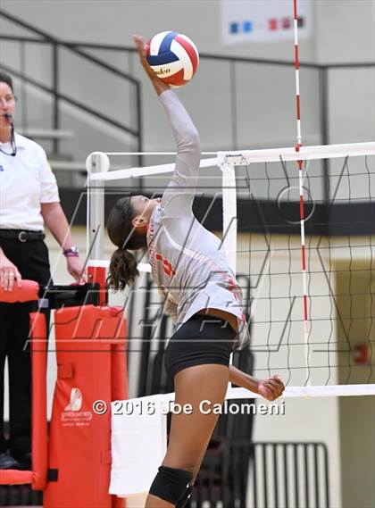 Thumbnail 1 in Madison vs Judson (Littleton Gym) photogallery.