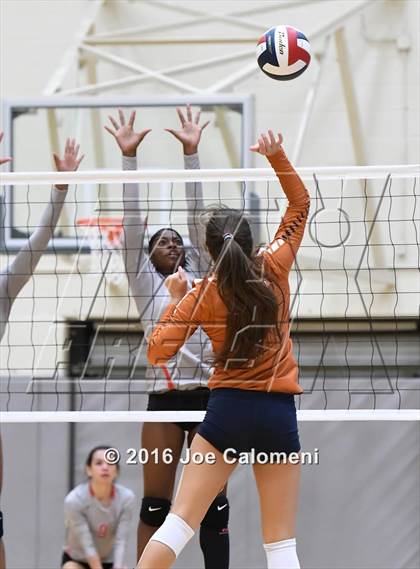 Thumbnail 3 in Madison vs Judson (Littleton Gym) photogallery.