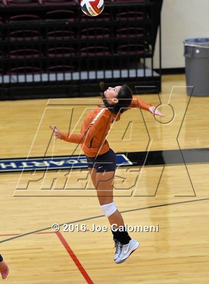 Thumbnail 1 in Madison vs Judson (Littleton Gym) photogallery.