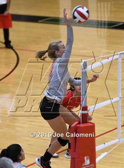 Thumbnail 3 in Madison vs Judson (Littleton Gym) photogallery.