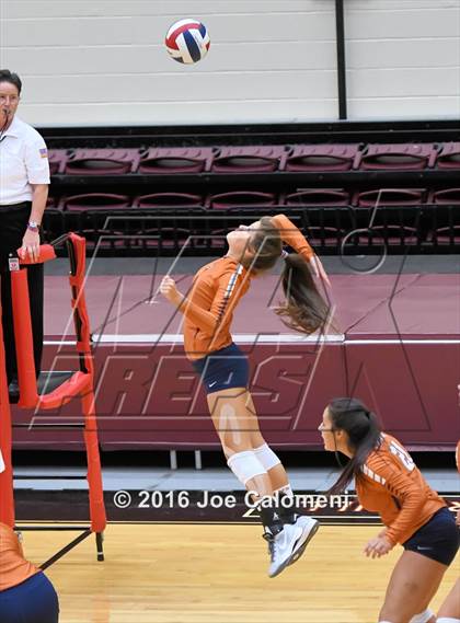 Thumbnail 1 in Madison vs Judson (Littleton Gym) photogallery.