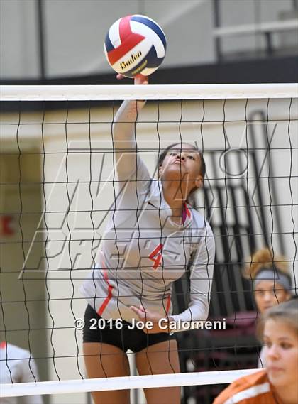 Thumbnail 3 in Madison vs Judson (Littleton Gym) photogallery.